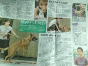 1005317_534625693269398_1548878556_n