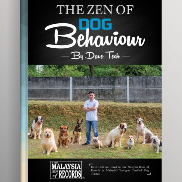 dog training, agg rehab, boarding training, board and train, aggression rehab, aggression rehabilitation