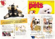 15826747_1242428632489097_2630311215681751436_n