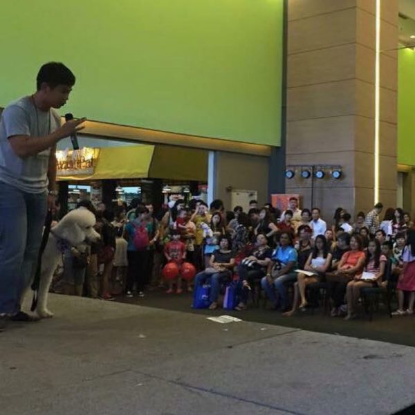dog training, dog seminar, dog workshop, dave teoh academy, dta