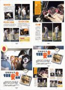 17883498_1341474565917836_4296345805331823278_n