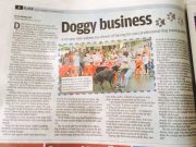 1794518_642556412476325_413579102_n