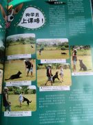 506674623_10039735919424947_2681046672273187749_n