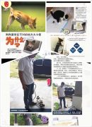 511062544_23904356102536361_3959216420005655213_n