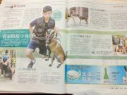 557021_384960121569290_625169588_n