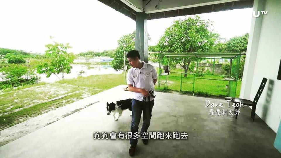 88214963_2856930144372263_3882232539561066496_n