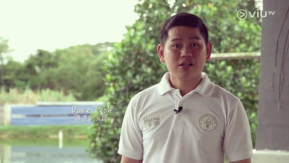 88301455_2856930184372259_1323649778927534080_n