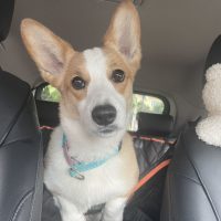 Cream Modern Minimalist quote Instagram Template