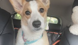 Cream Modern Minimalist quote Instagram Template