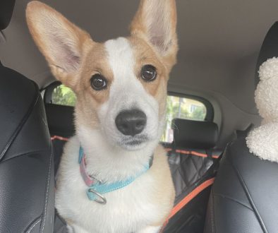 Cream Modern Minimalist quote Instagram Template