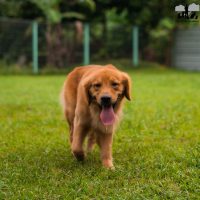 Green And Blue Modern Business Woman Linkedln Profile Picture