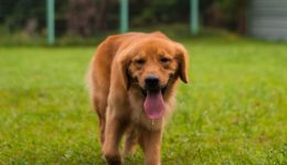 Green And Blue Modern Business Woman Linkedln Profile Picture