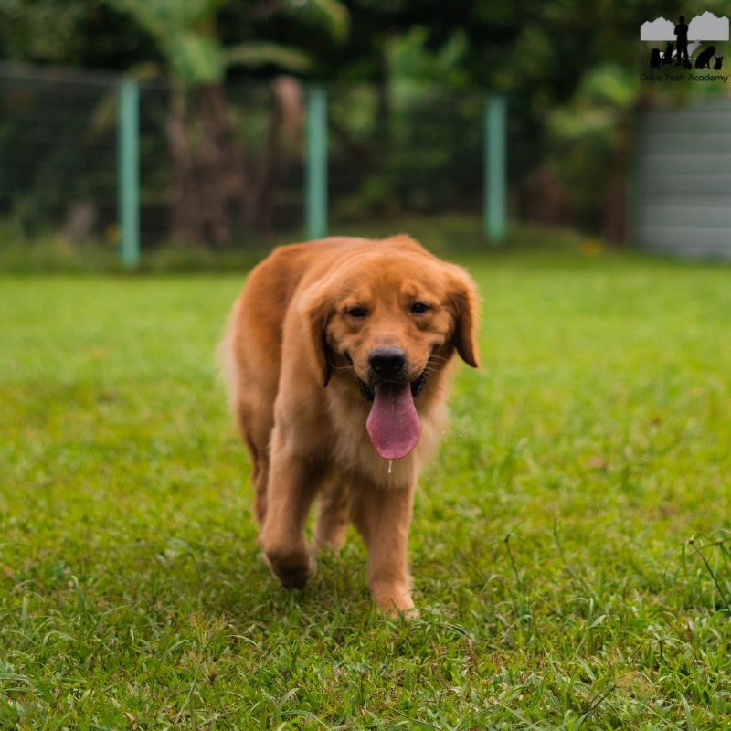 Green And Blue Modern Business Woman Linkedln Profile Picture