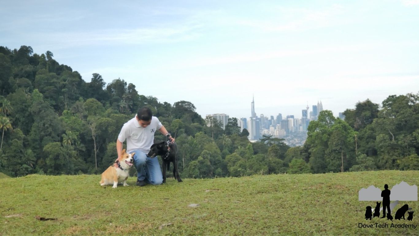 Home Page Website in Beige Lilac Simple Vibrant Minimalism Style (20)