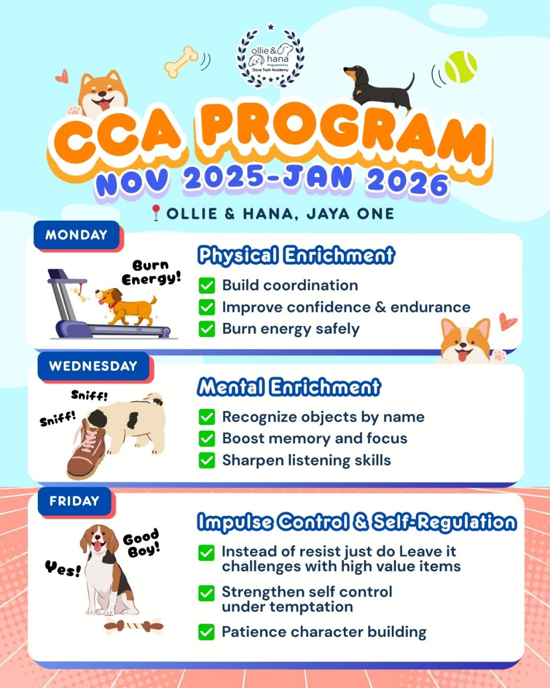 WhatsApp Image 2025 09 21 at 15.54.10