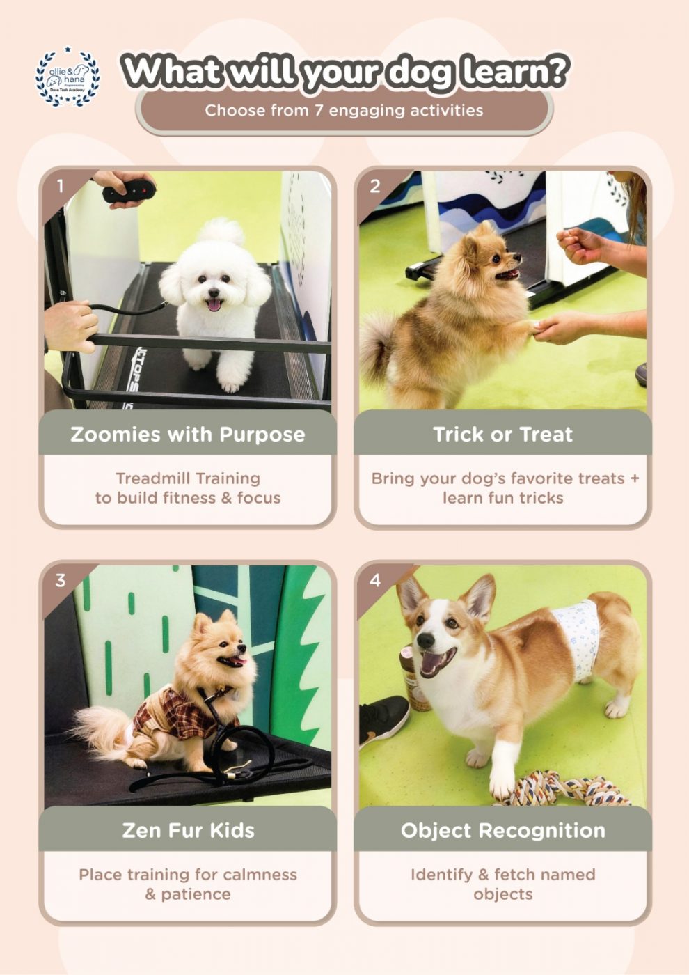 WhatsApp Image 2026 01 30 at 16.33.18 1