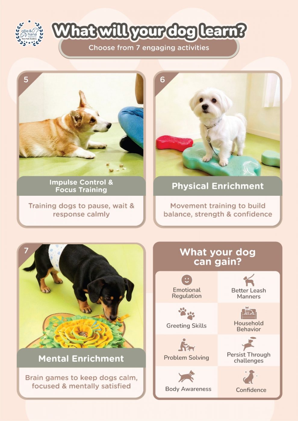 WhatsApp Image 2026 01 30 at 16.33.18 2