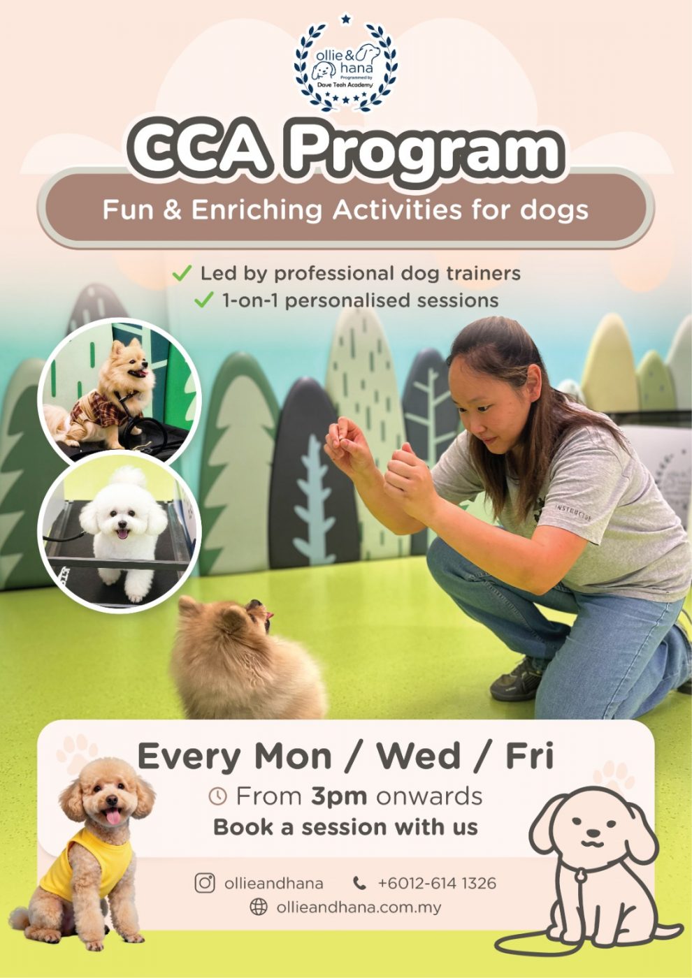 WhatsApp Image 2026 01 30 at 16.33.18